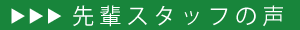 先輩スタッフの声